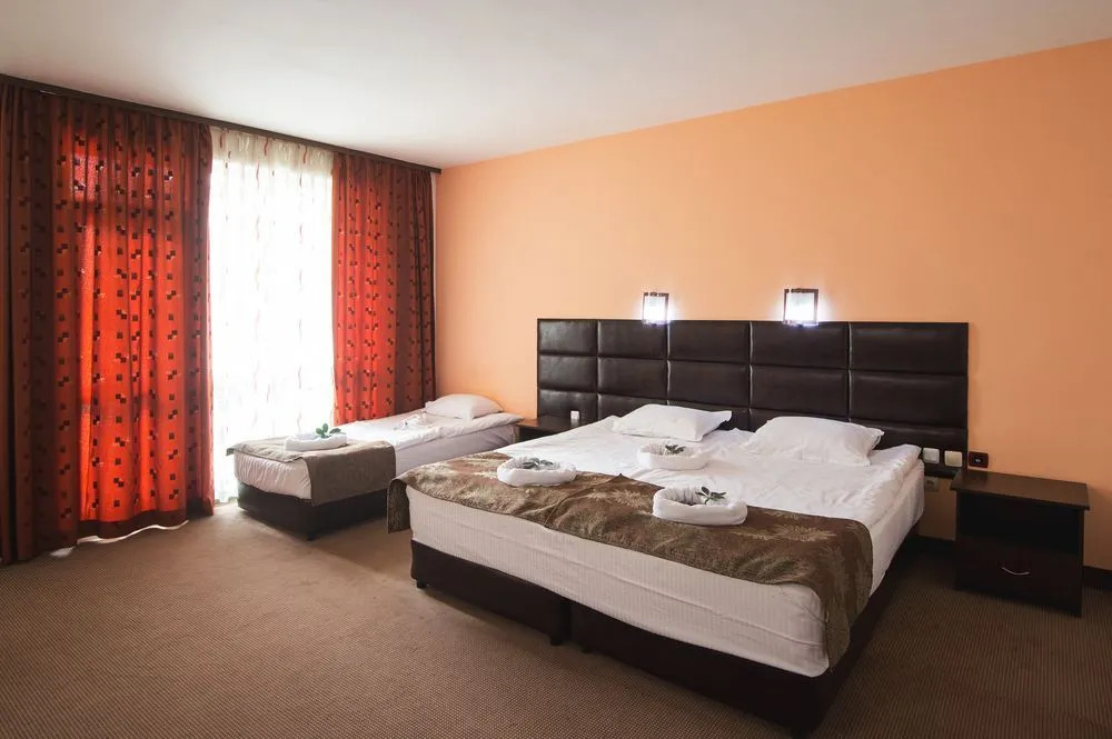 Zdravets SPA Hotel
