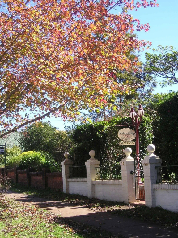 Maleny Lodge