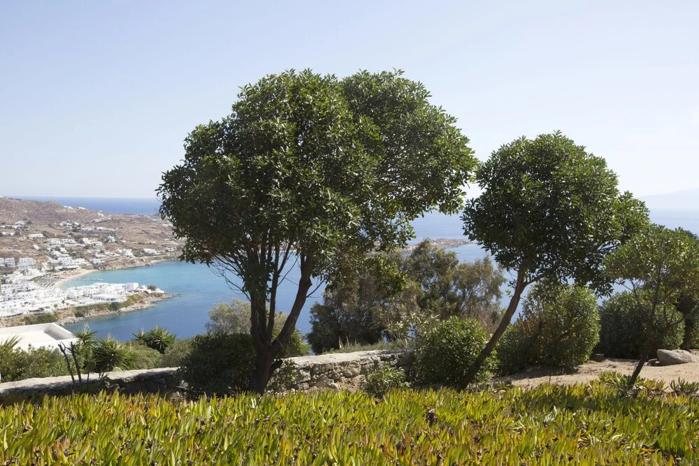 Psarrou villa for 10 guests, stunning sea views