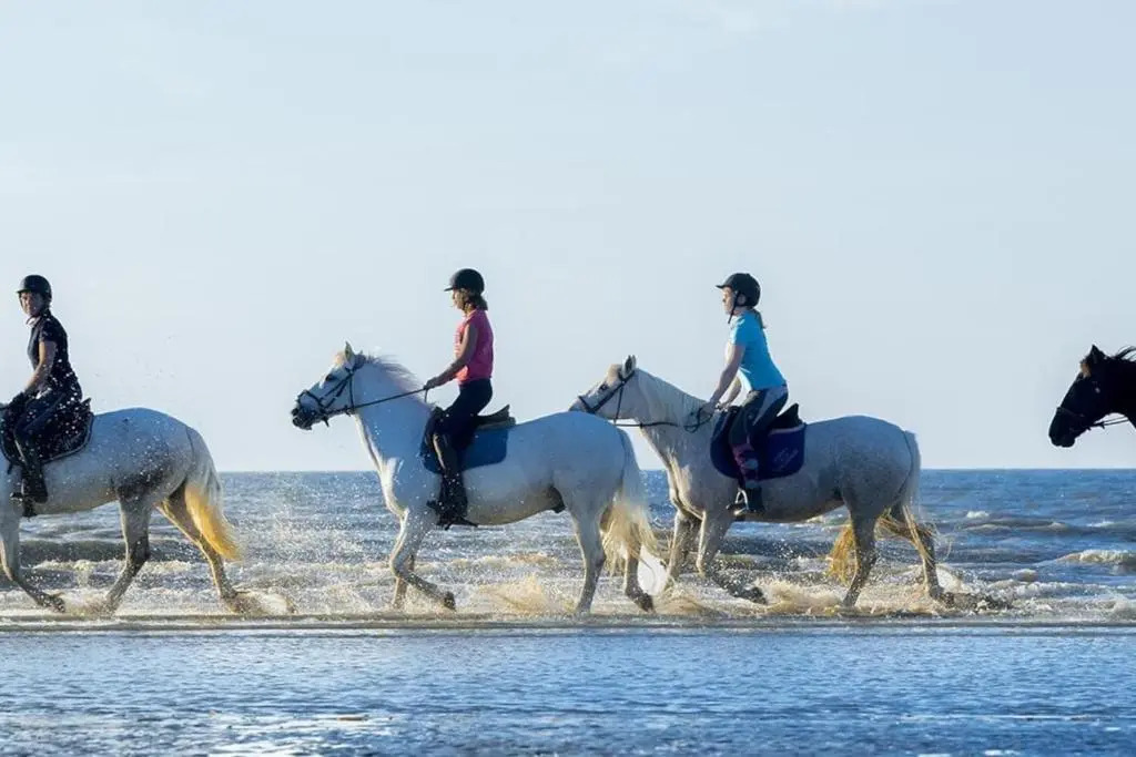 Charmant 2 pièces à 500 m des plages et du centre