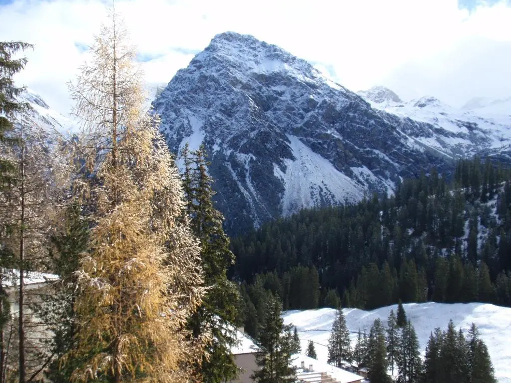Chalet Tannenrain & Casa Alba