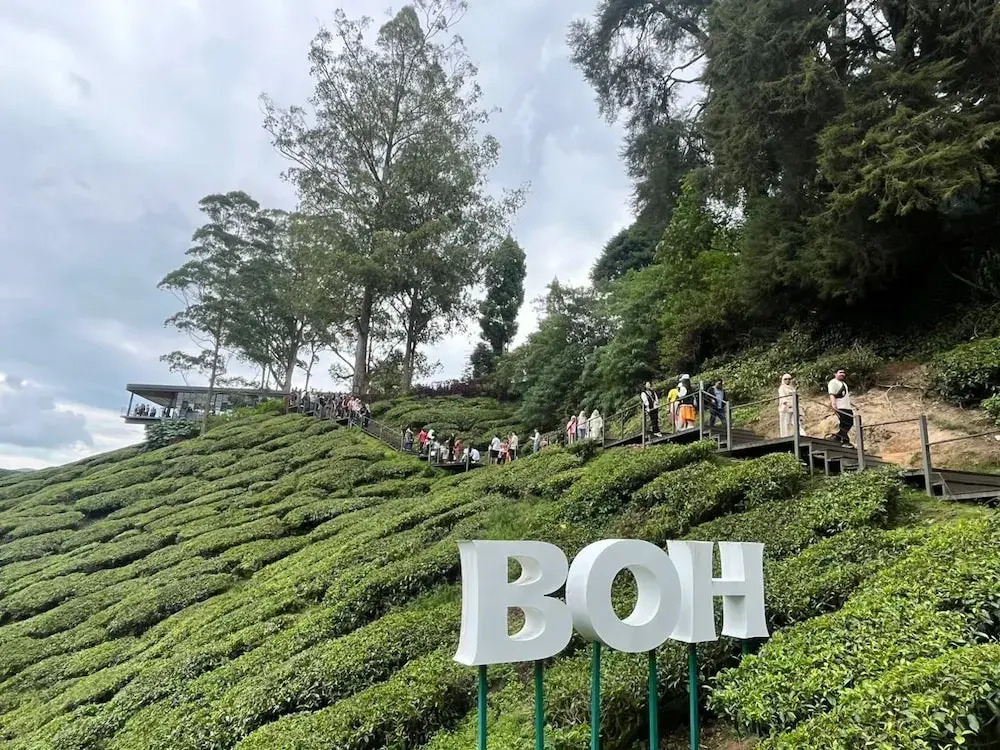 The Retreat Sunriseview Cameron highland