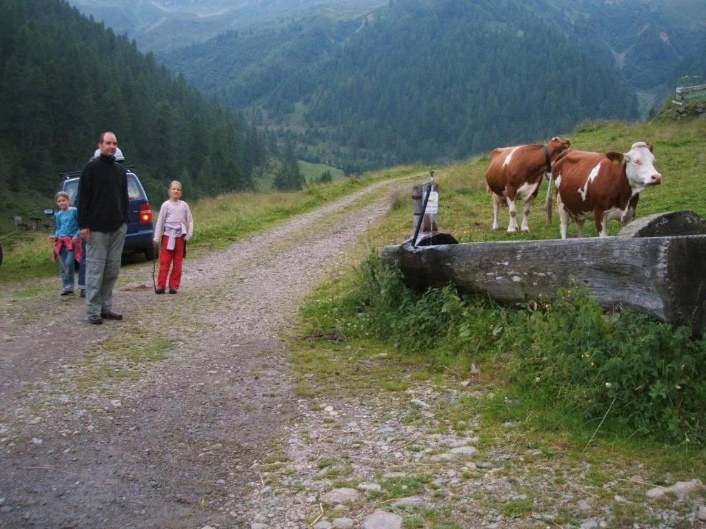 Ferienwohnungen am Berg - Almhütte Alfen