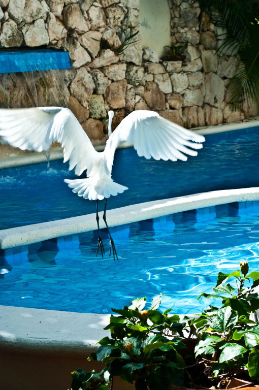 Hotel Casa el Moro
