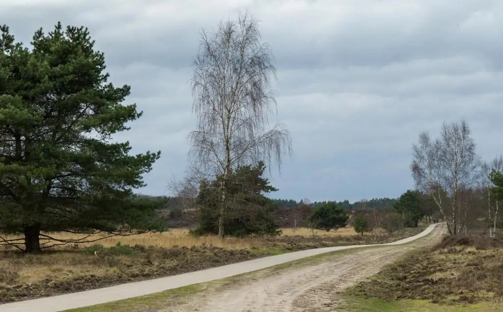 COZY & SPACIOUS PLACE ON A QUIET SPOT IN THE MIDDLE OF THE NETHERLANDS with free use of 2 womens and 2 mens bikes plus child seat