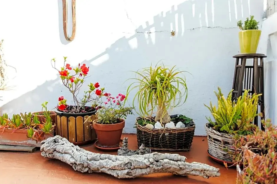 Olive Hostel Lagos