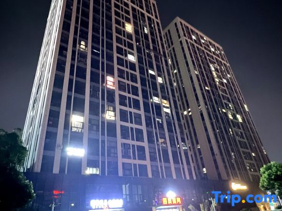 Zheyoo Collection Hotel (Baolong Plaza South Railway Station)