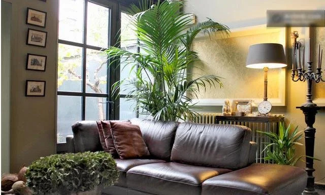 B&B Dinellis Guesthouse