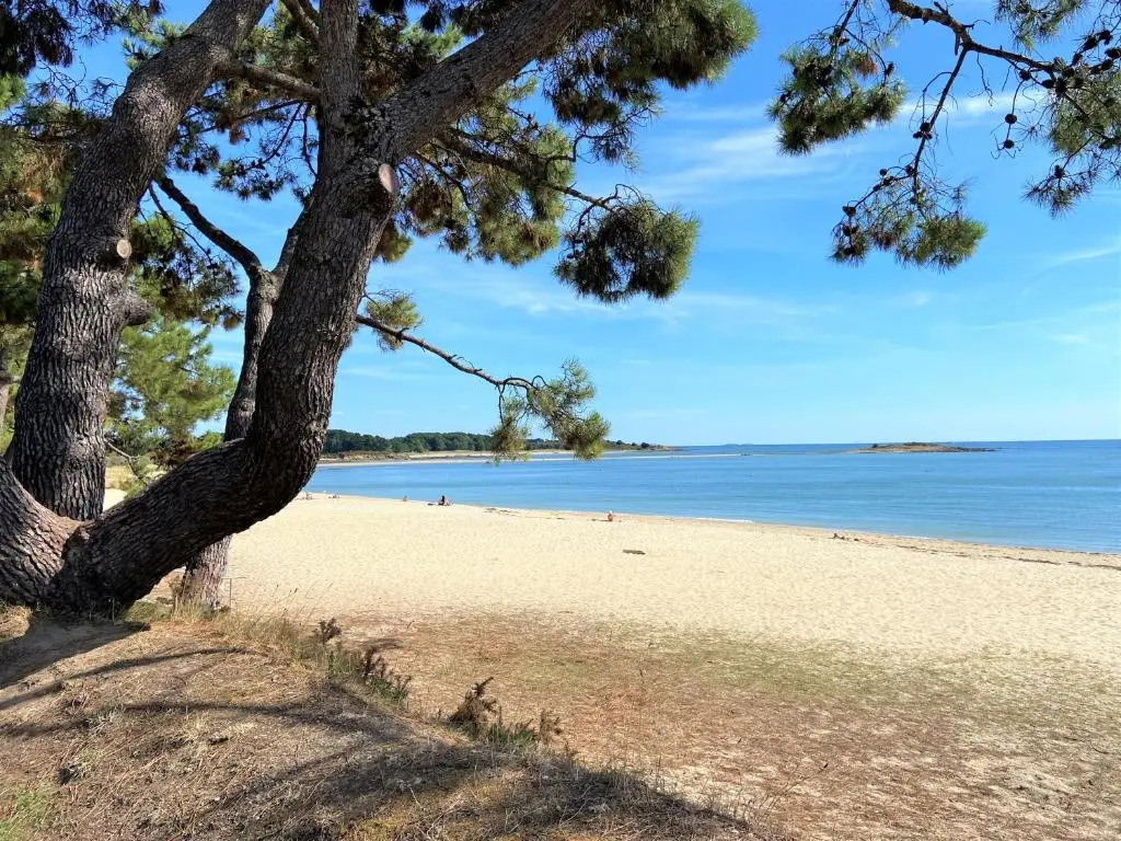 Kermario 1, bel appartement à Carnac, Wifi inclus