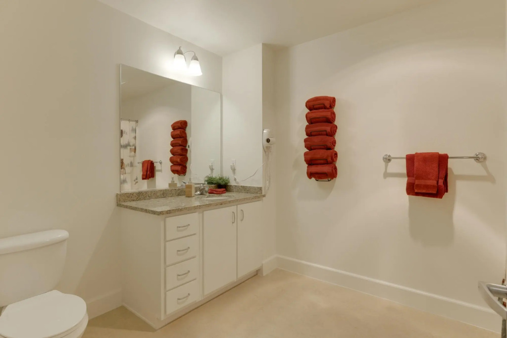 Fully furnished 1BR Apartment - Downtown Location