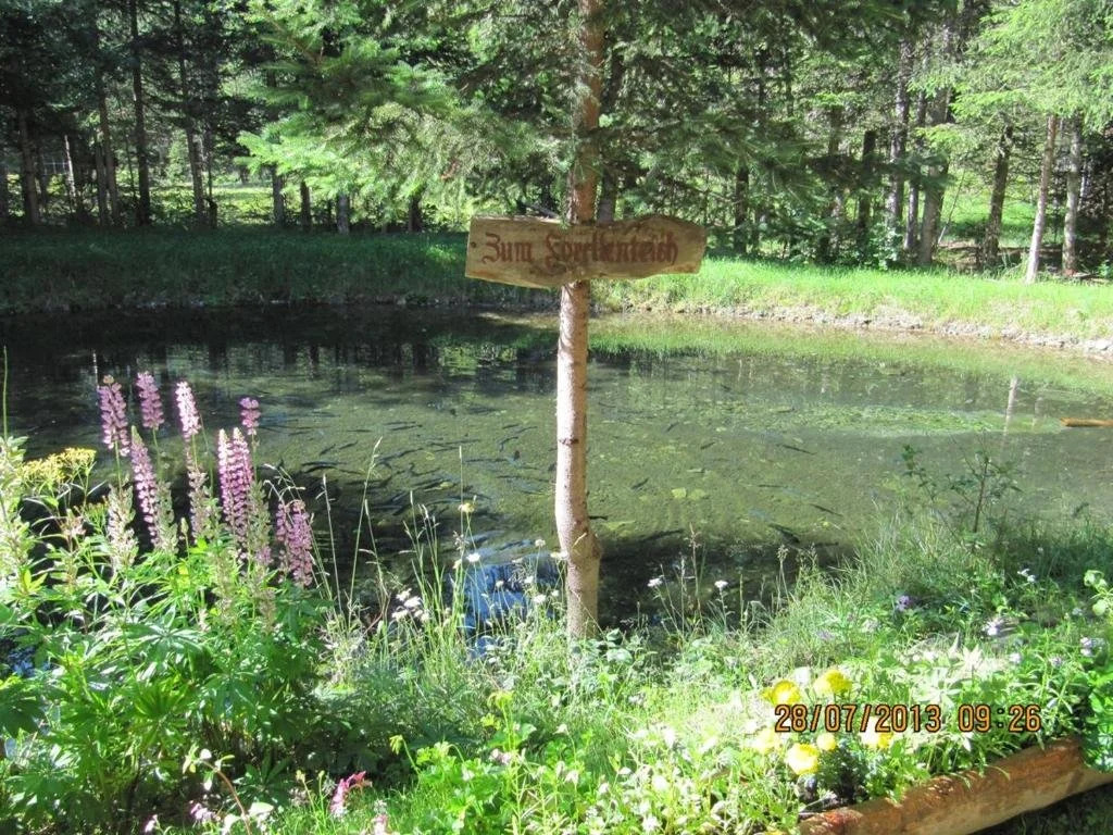 Pension Waldhauser