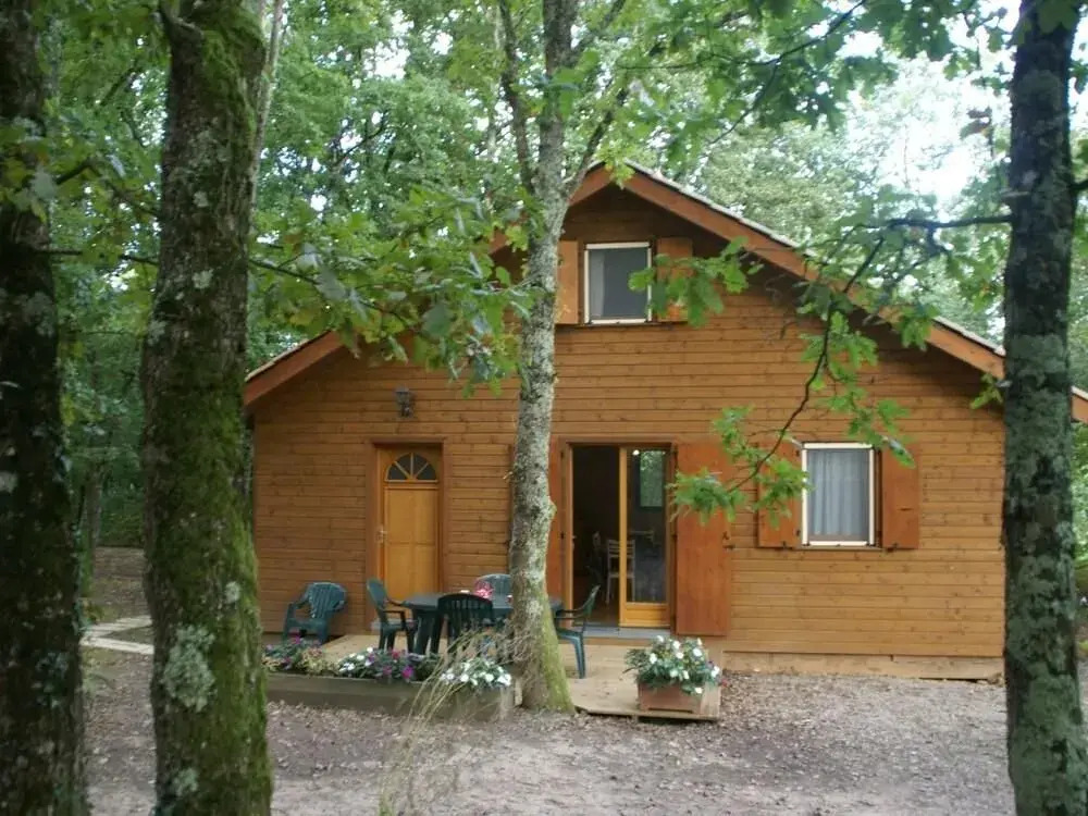 Quietly Located Chalet With Private Pool by the Edge of the Historical Forest