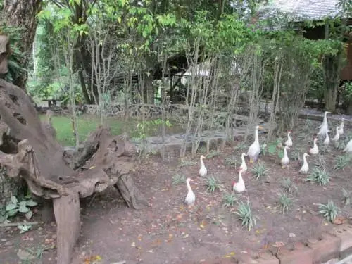 Mams Village