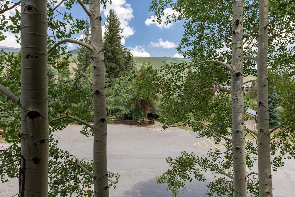 Chateaux Dumont #2701 by Summit County Mountain Retreats
