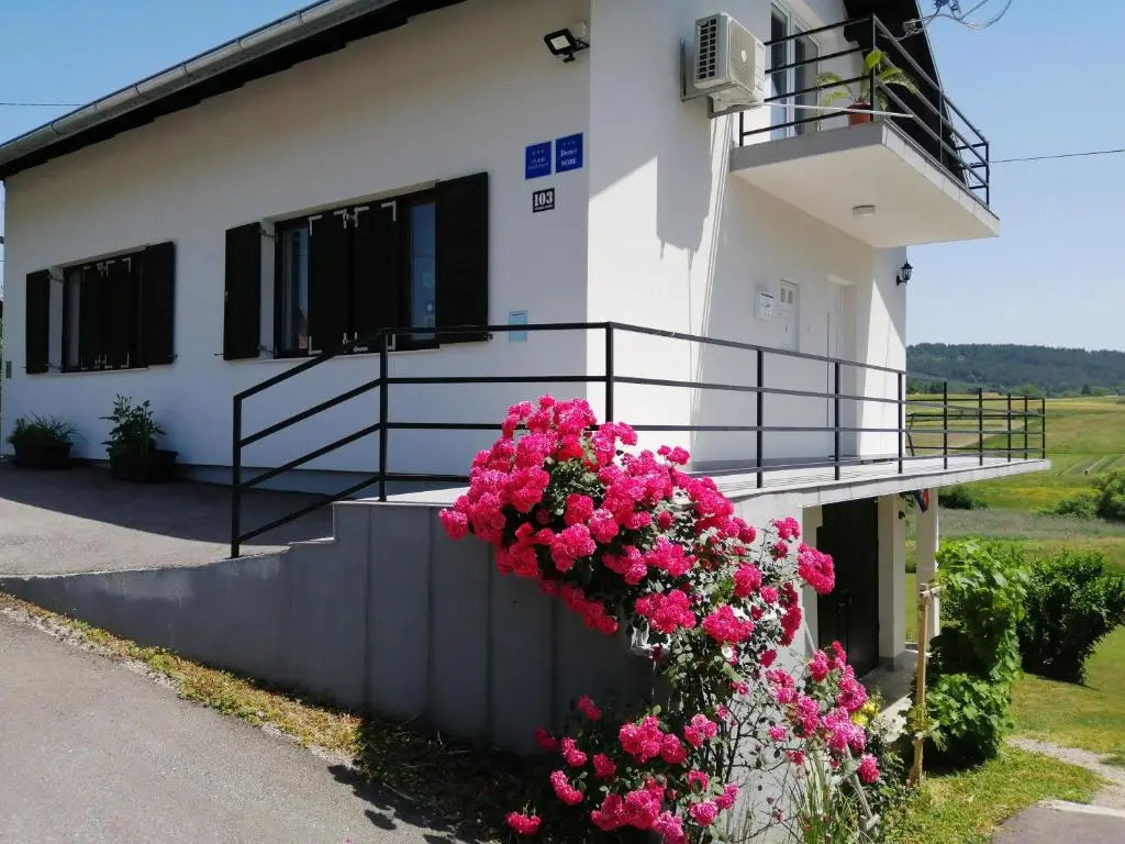 VIP Apartments & Room