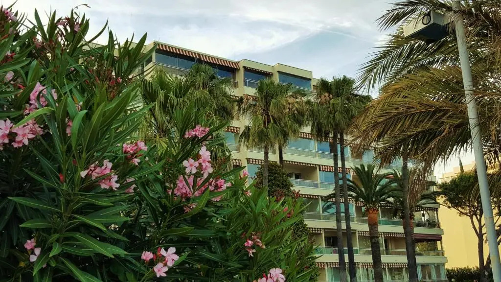 Sea Front Apartment Cannes