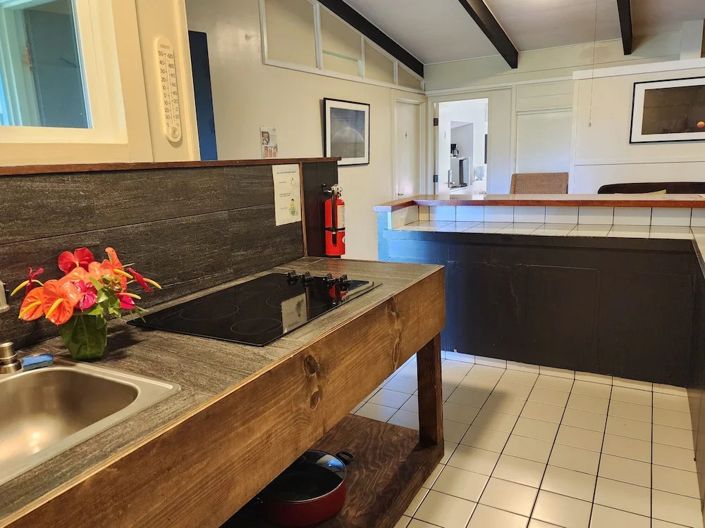 Arnotts Lodge & Hiking Adventures