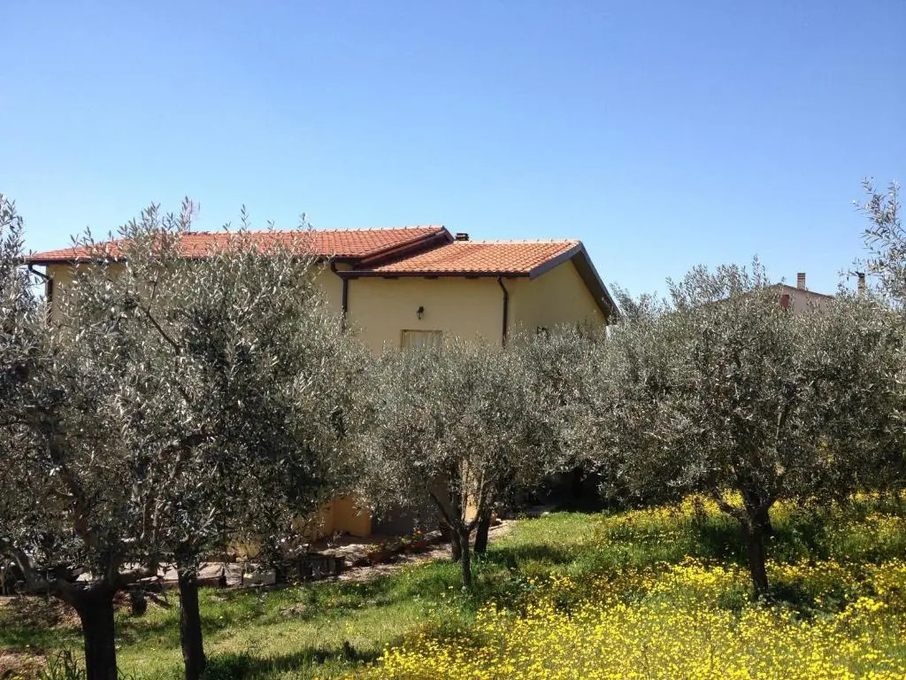 Gli Ulivi DArgento