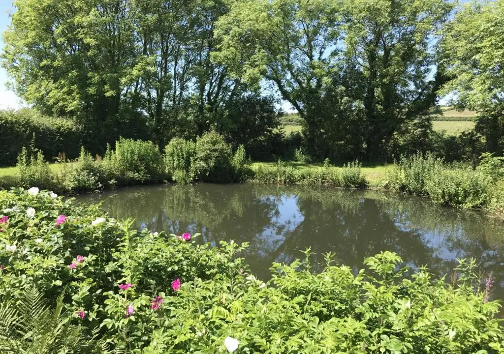 1 Bed in Little Haven oc-wav323