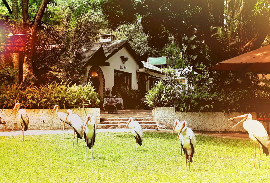 Mount Meru Game Lodge