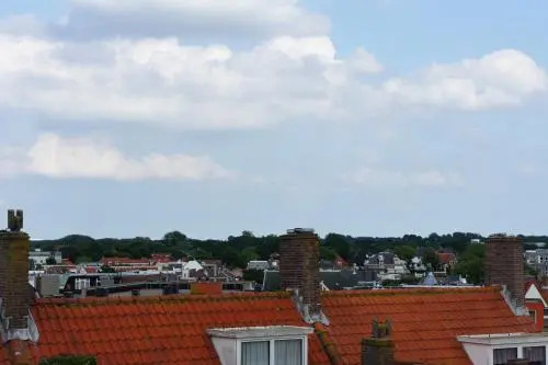 Divi Divi Zandvoort