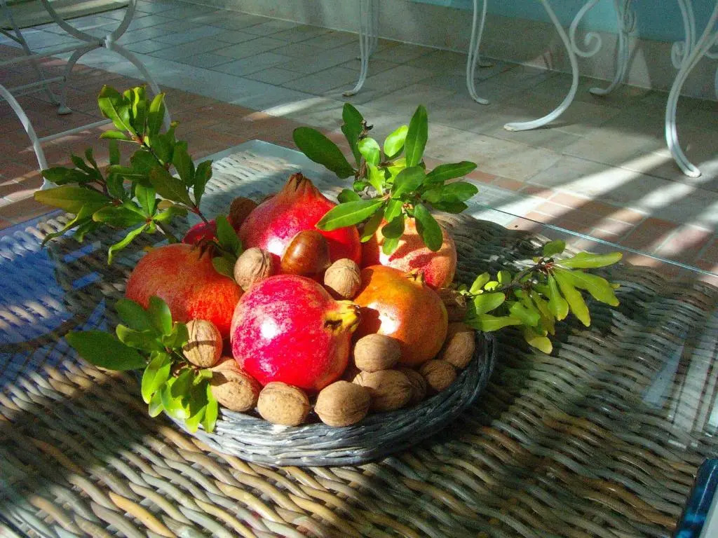 Il Giardino del Tè