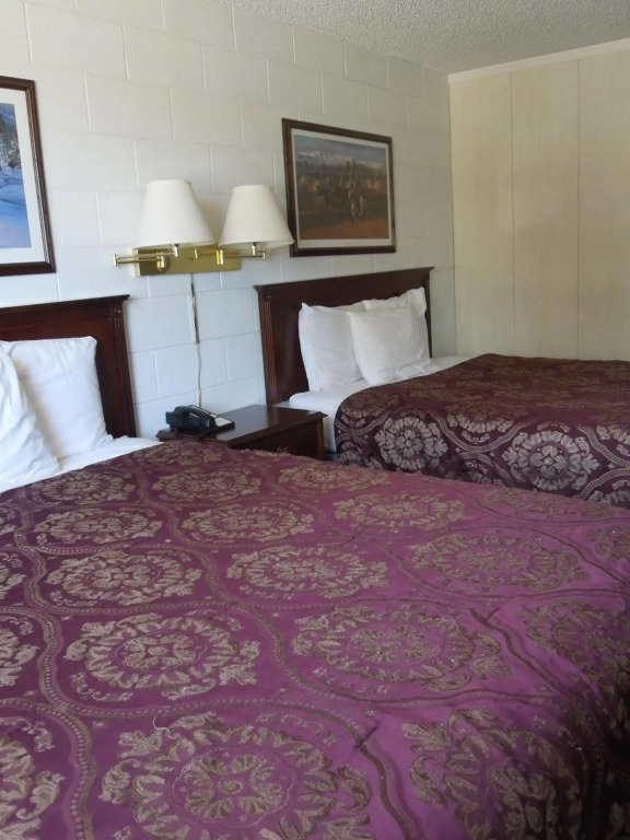 The Pines Motel