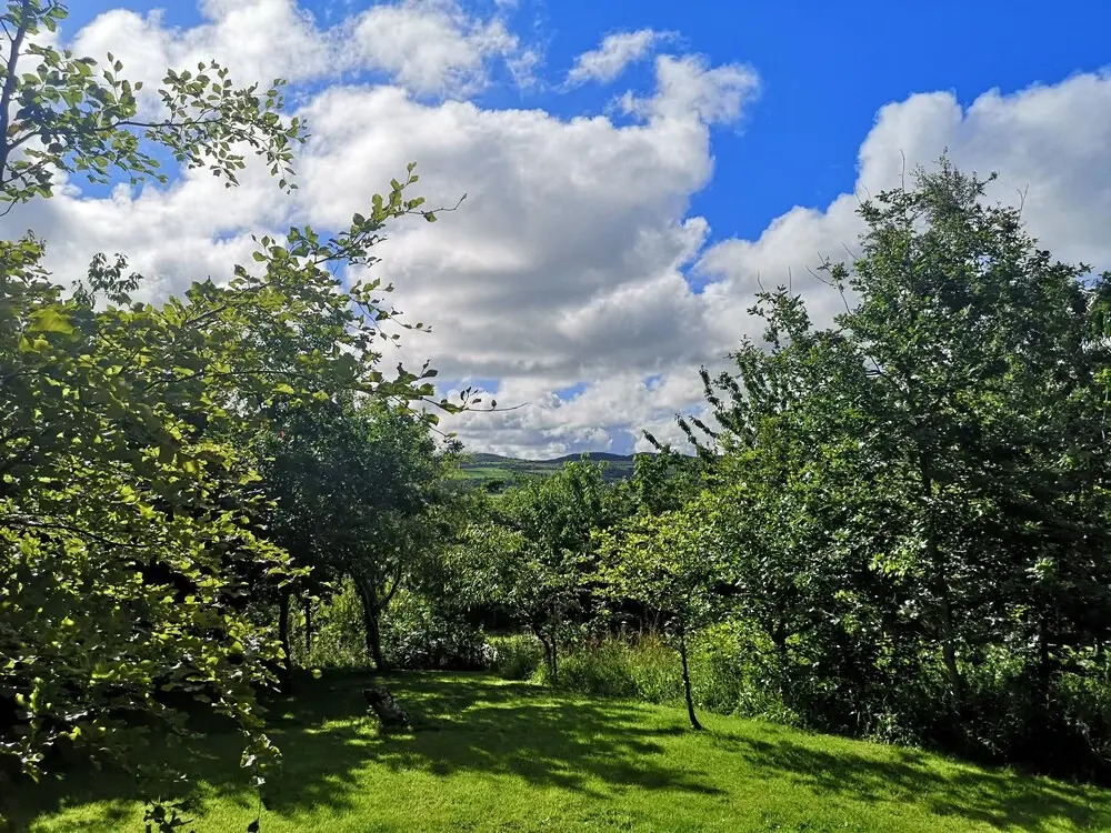 The Byre