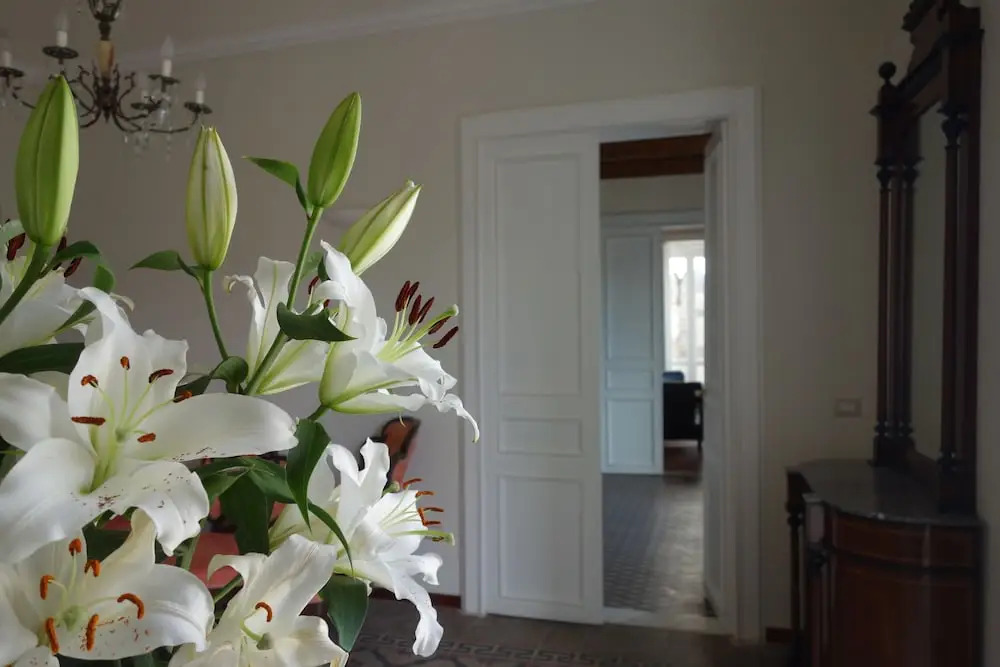 Suites Pastis Tropea - Boutique B&B by Kalavrìa Holidays
