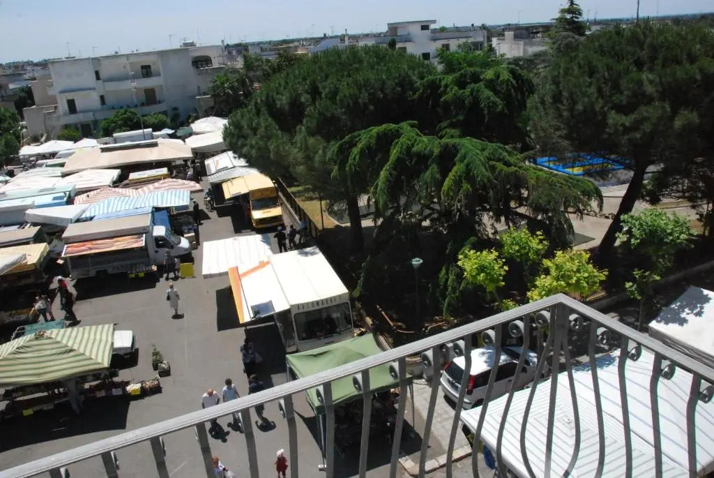 B&B Martius 2