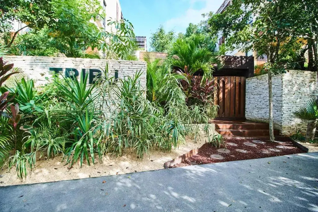 Tribu 205 Magical 1BR APT minutes from the Sea 50MB WIFI
