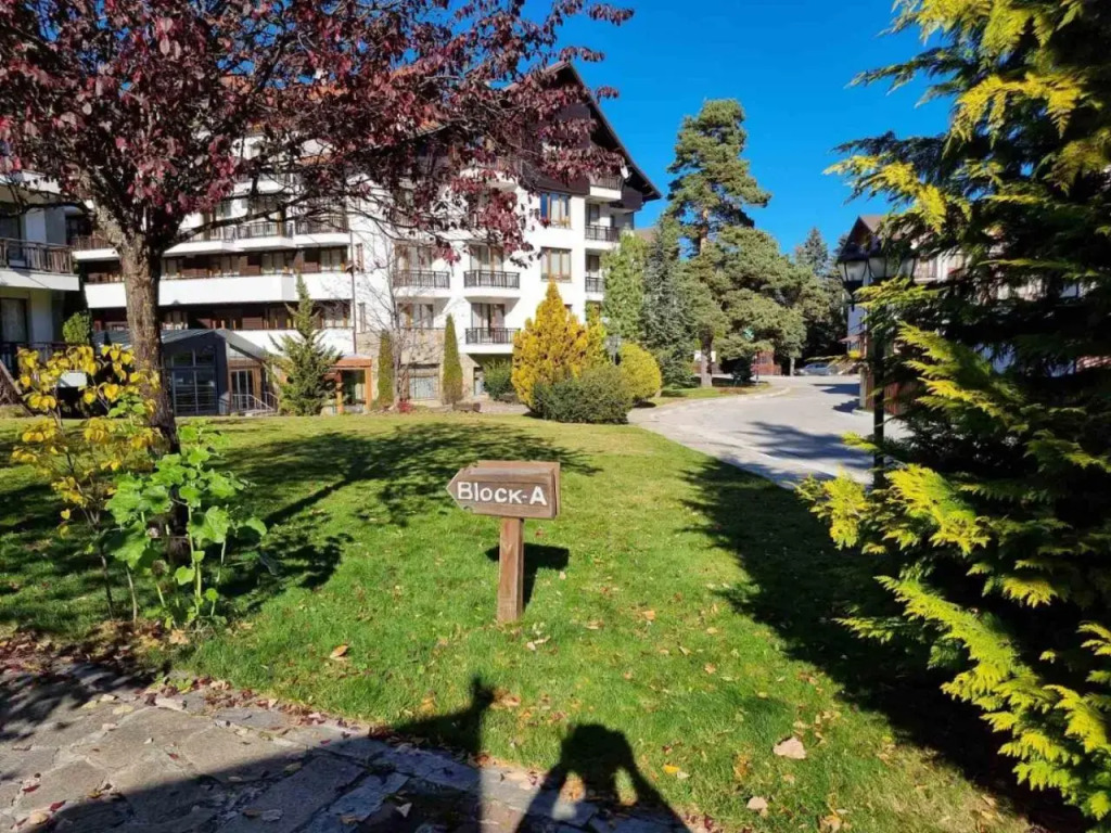 Borovets Semiramida A16