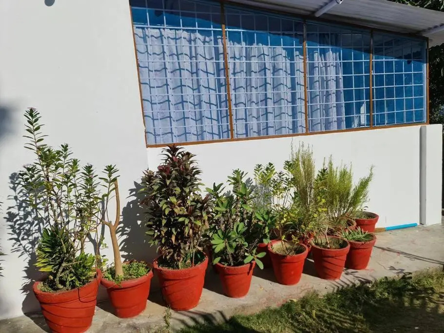 Green Diamond Homestay