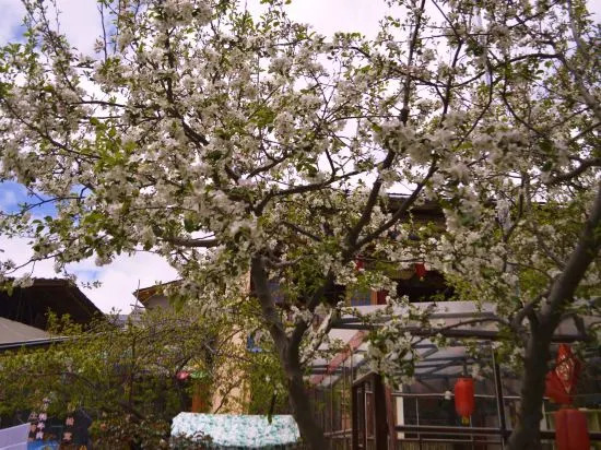 Shangri-La Xueyu Qingyuan