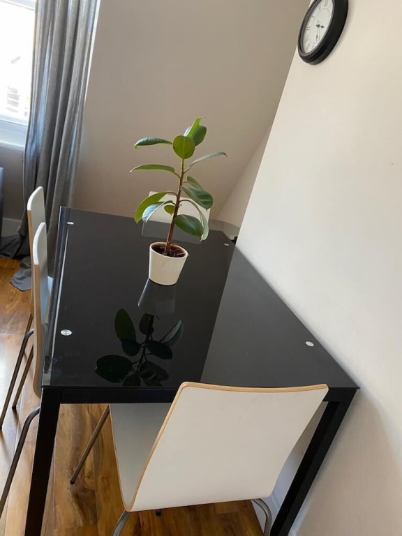 Luxurious Modern One Bedroom Apartment
