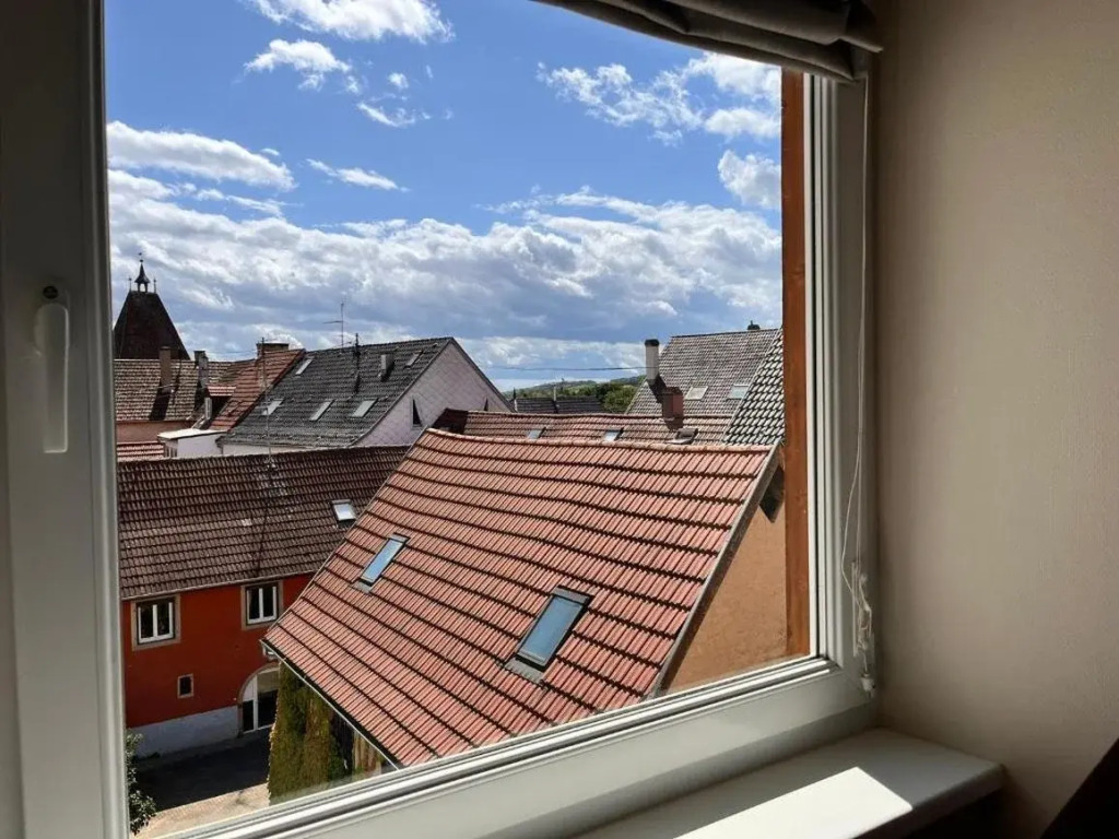 Logis Hotel LOurs de Mutzig