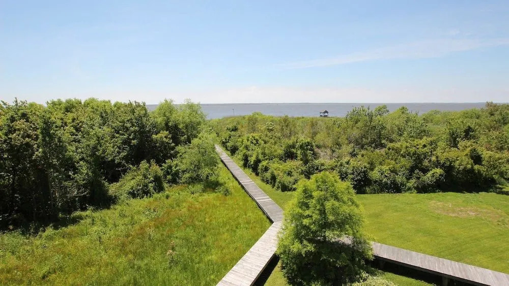 Somerset - 5 Br Home