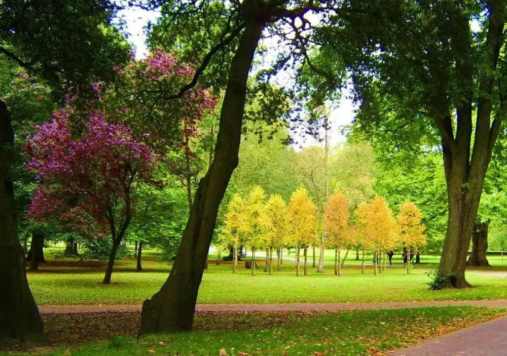 Howard Gardens - 2 Bedroom Apartment in Cardiff City Centre