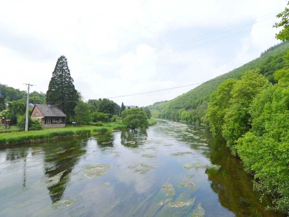 Cozy Cottage Near River