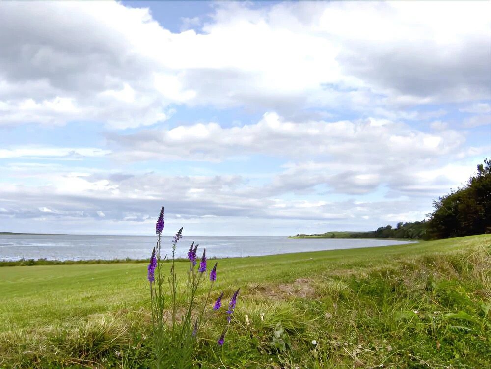 Budle Cove