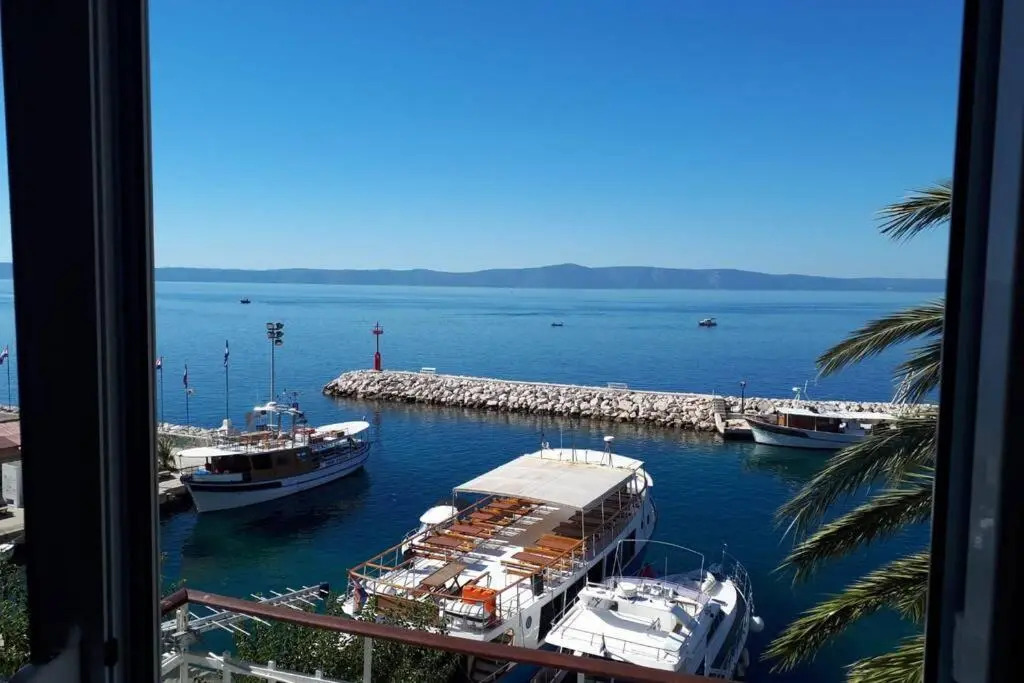 Palm tree studio, Podgora