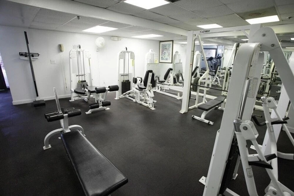 Alexander 1208 - 2 Br Apts