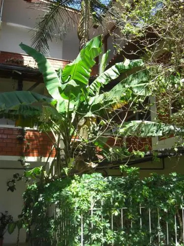 Residencial Amigos