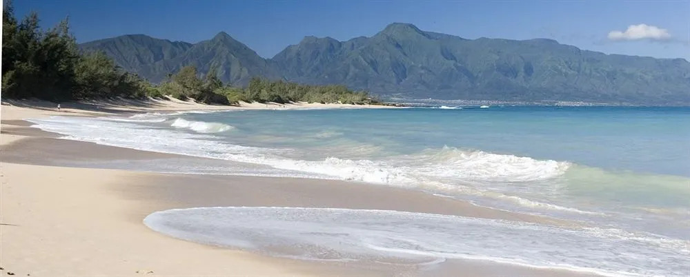 Nalu Kai Lodge Paia