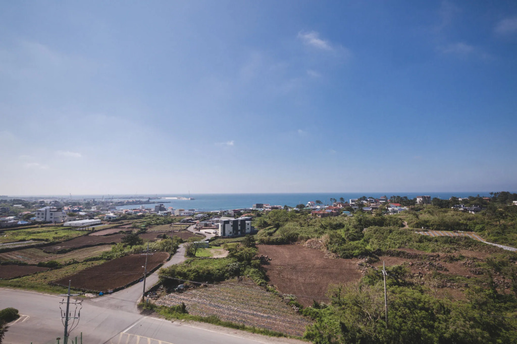 Sally's Jeju
