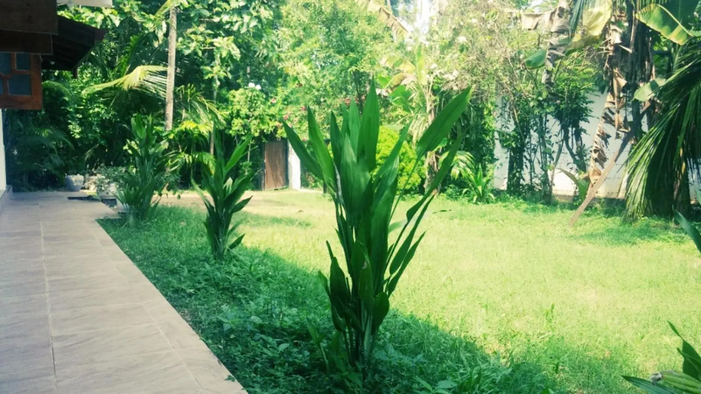 Nature Villa