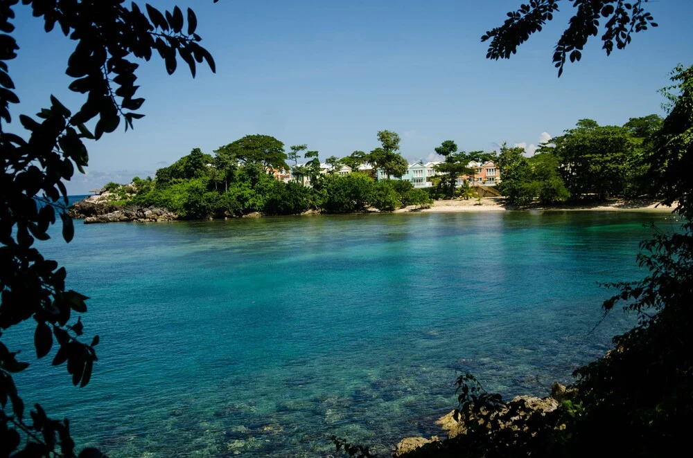 Seas the Day Sanctuary Little Bay