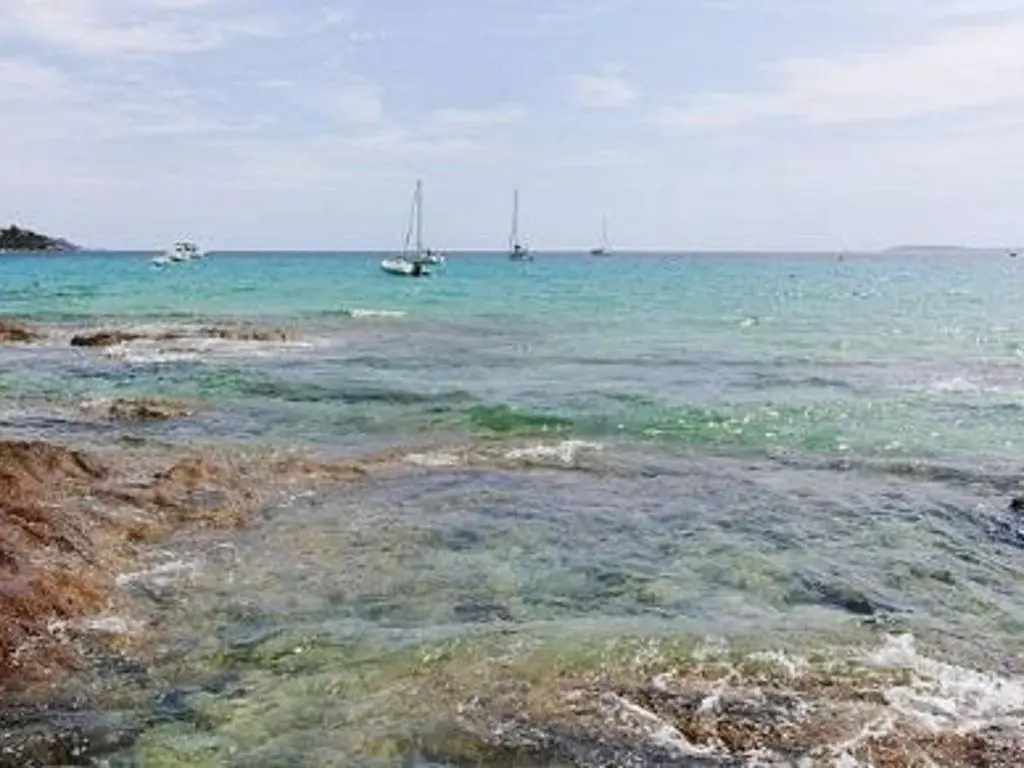 Appartement Le Lavandou, 1 pièce, 2 personnes - FR-1-251-80