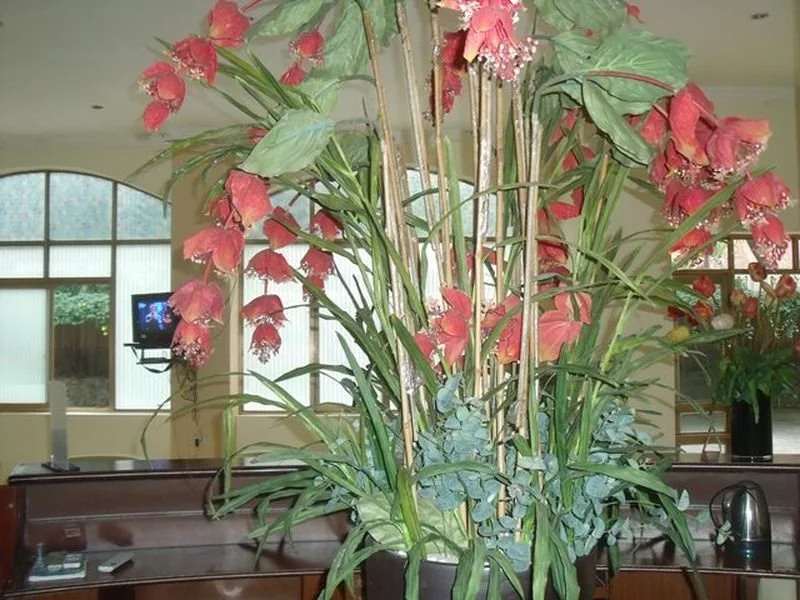 Sen Vang Hotel