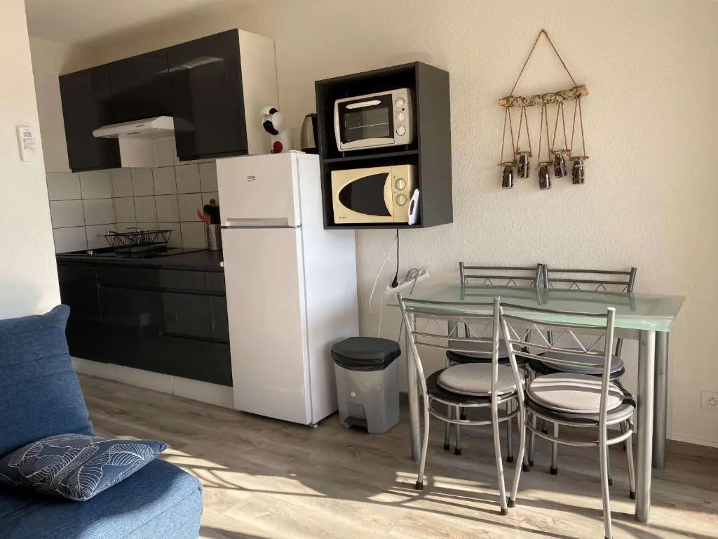 Appartement Balaruc-les-Bains, 1 pièce, 2 personnes - FR-1-553-35